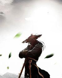 [综武侠]武学助手也能天下第一吗